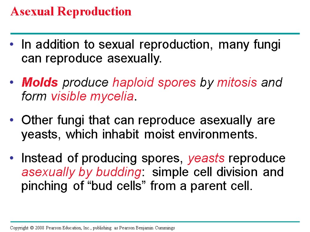 Asexual Reproduction In addition to sexual reproduction, many fungi can reproduce asexually. Molds produce